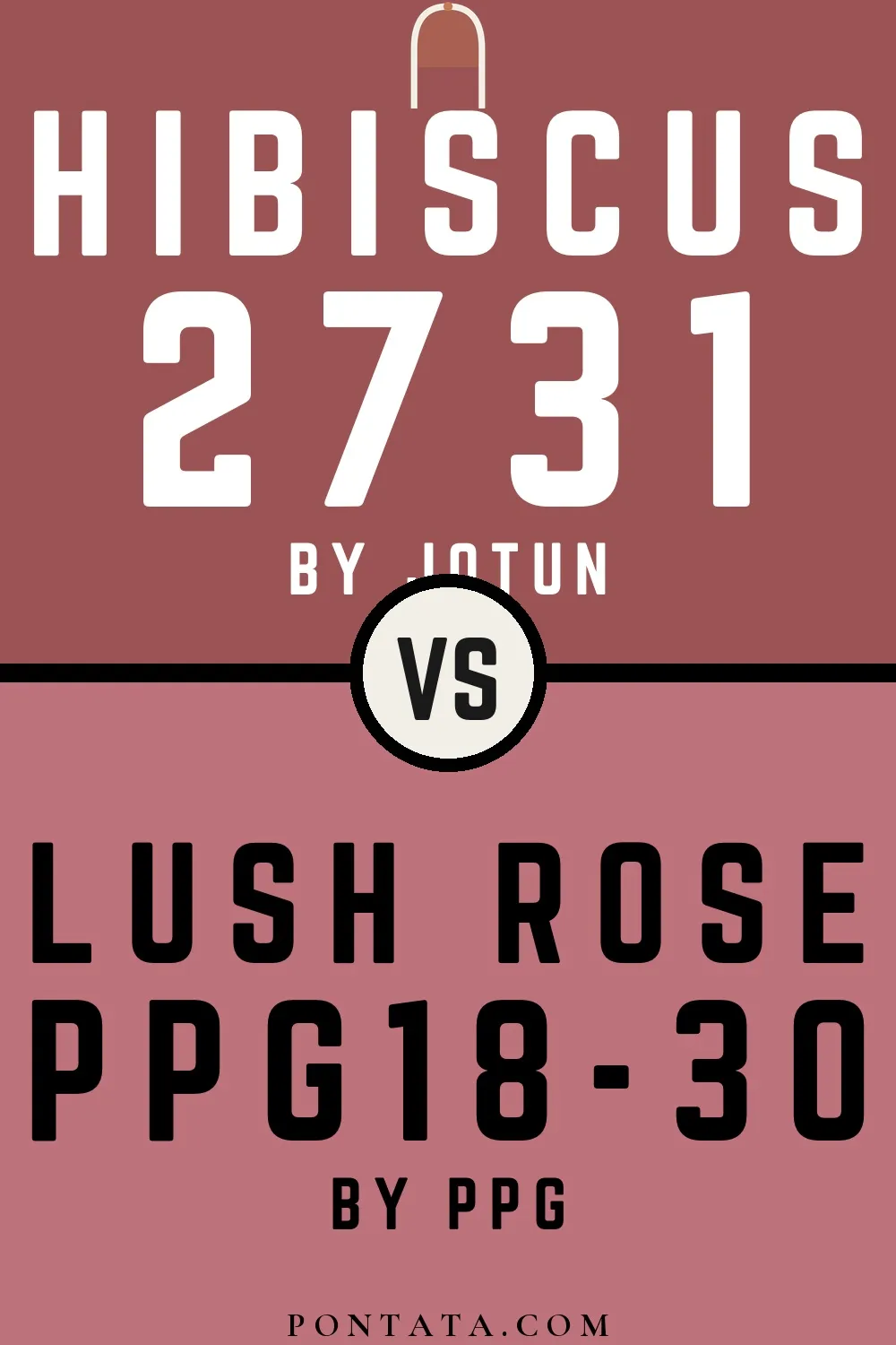 Hibiscus vs Lush Rose