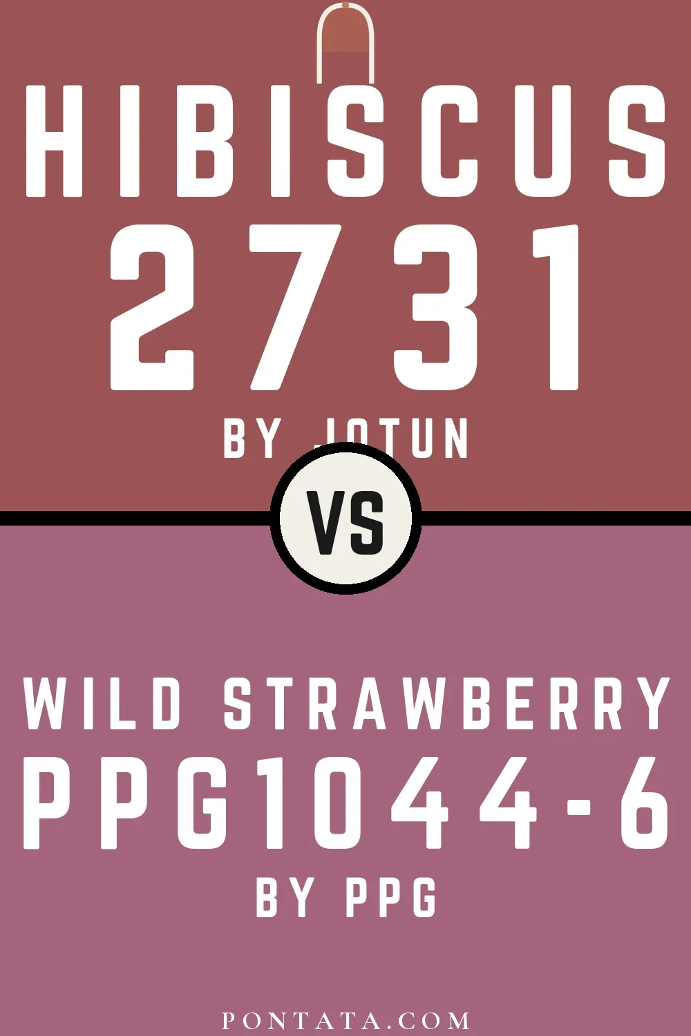 Hibiscus vs Wild Strawberry