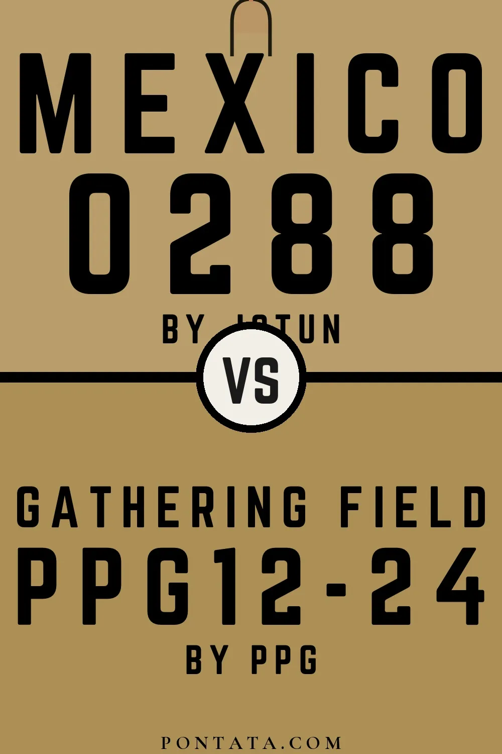 Mexico vs Gathering Field