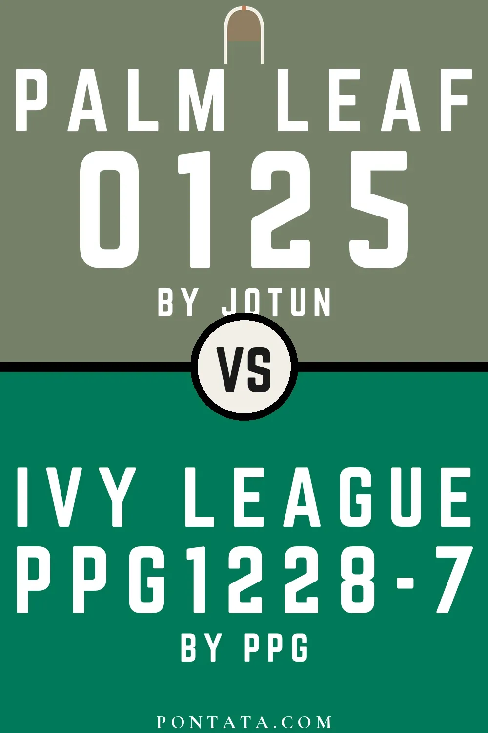 Palm Leaf vs Ivy League