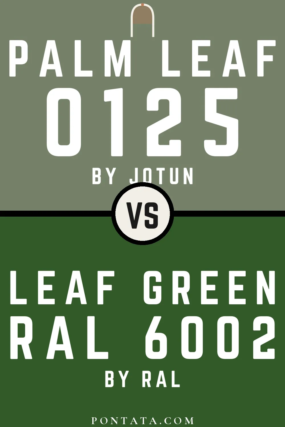 Palm Leaf vs Leaf green