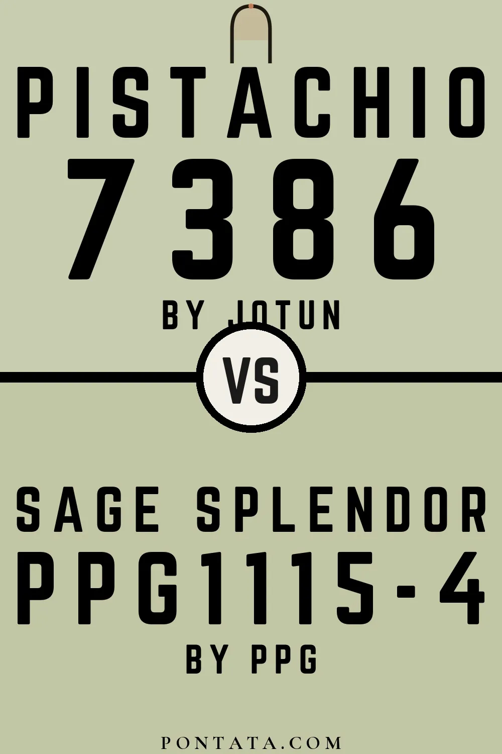 Pistachio vs Sage Splendor
