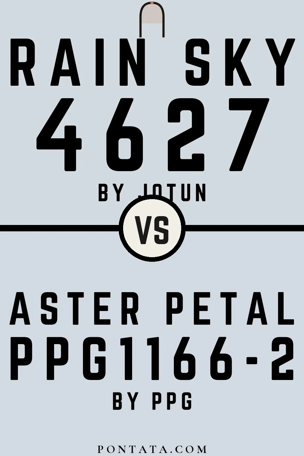 Rain Sky vs Aster Petal