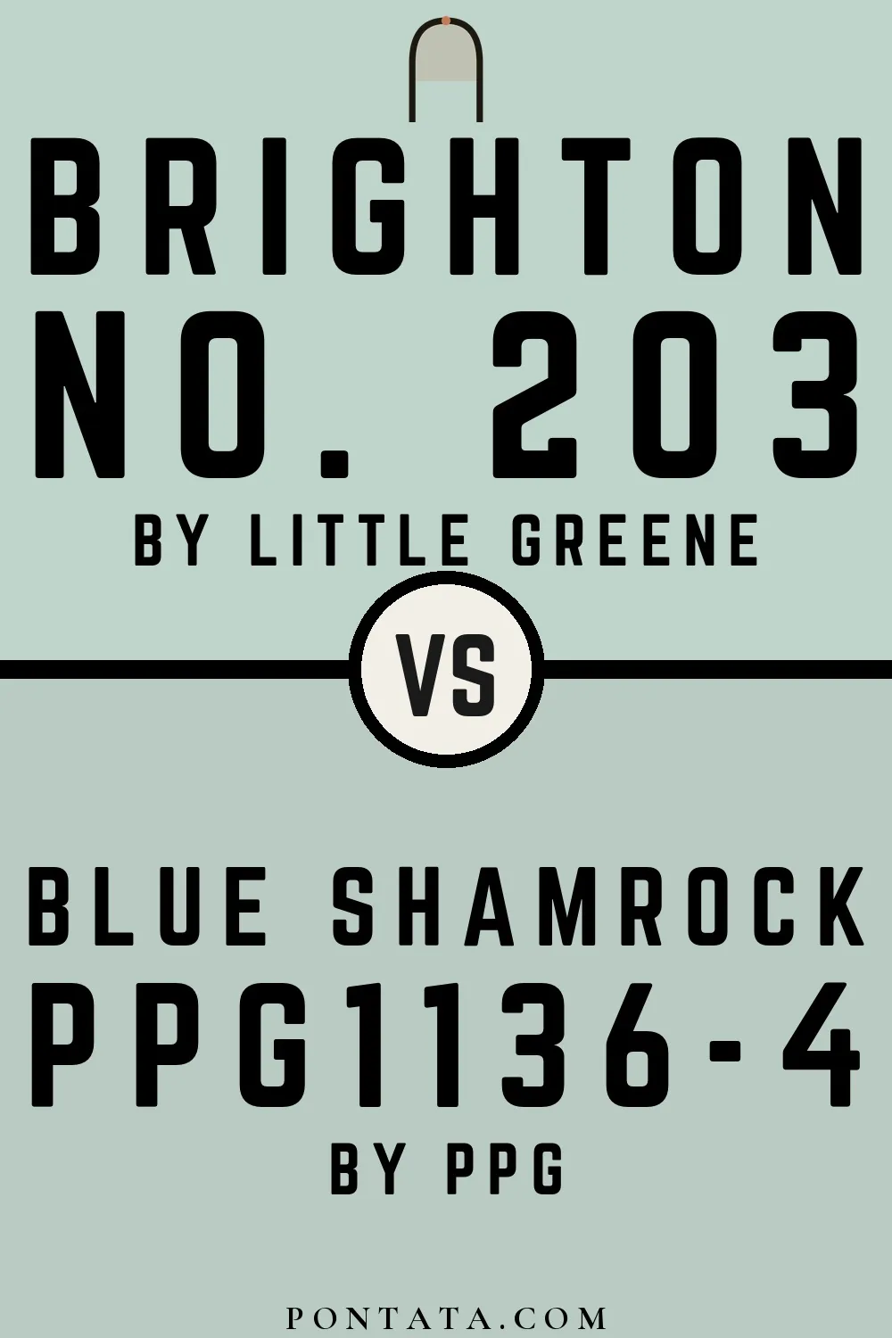 Brighton vs Blue Shamrock
