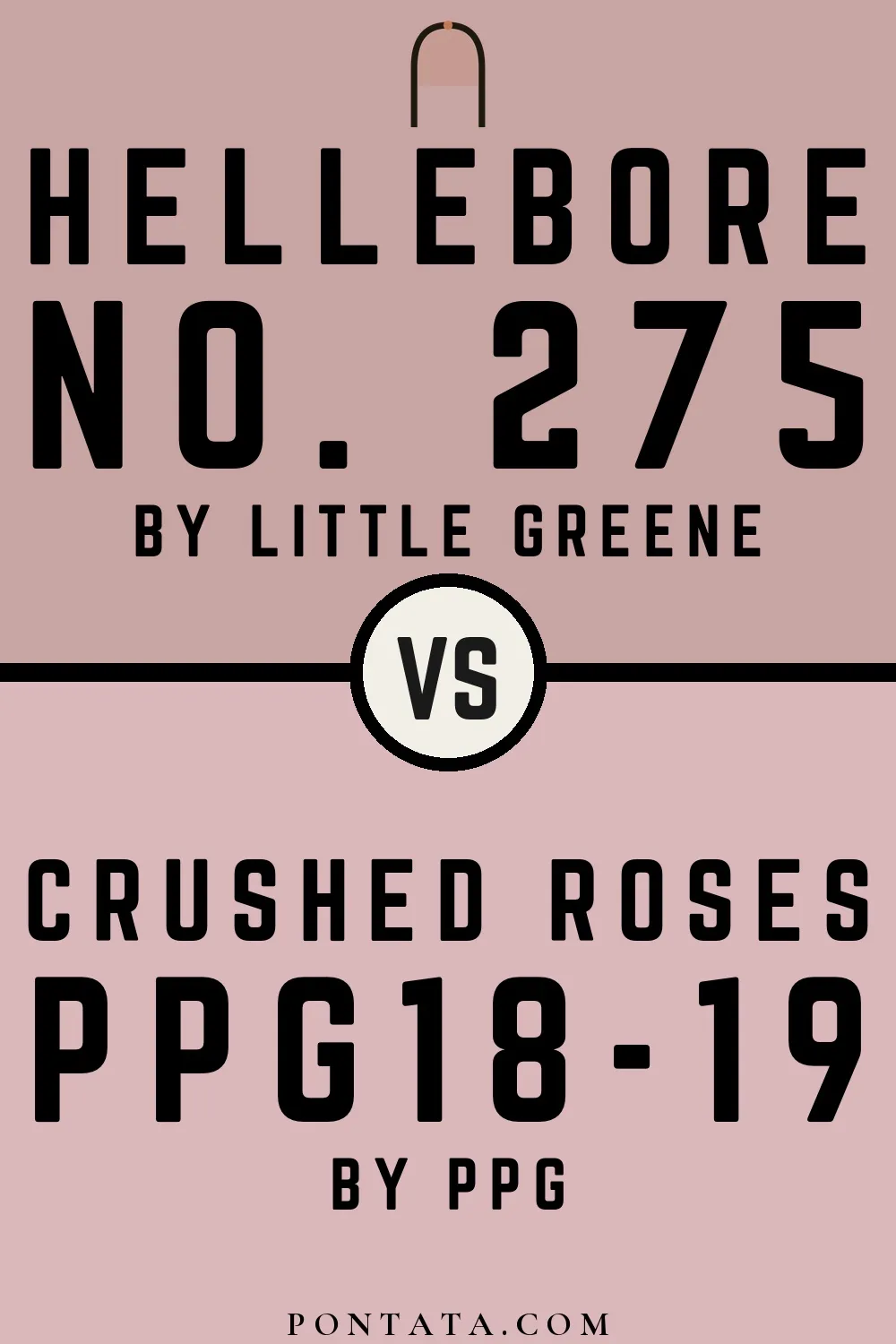 Hellebore vs Crushed Roses