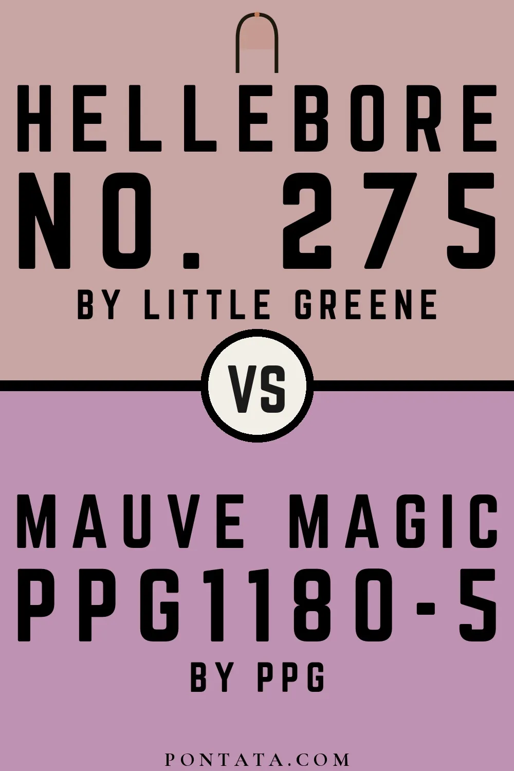 Hellebore vs Mauve Magic