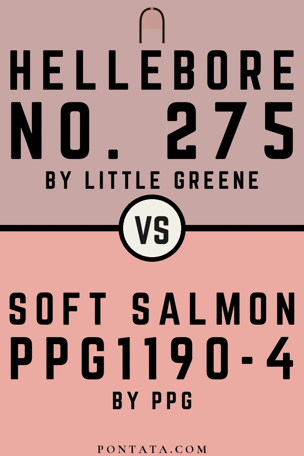 Hellebore vs Soft Salmon