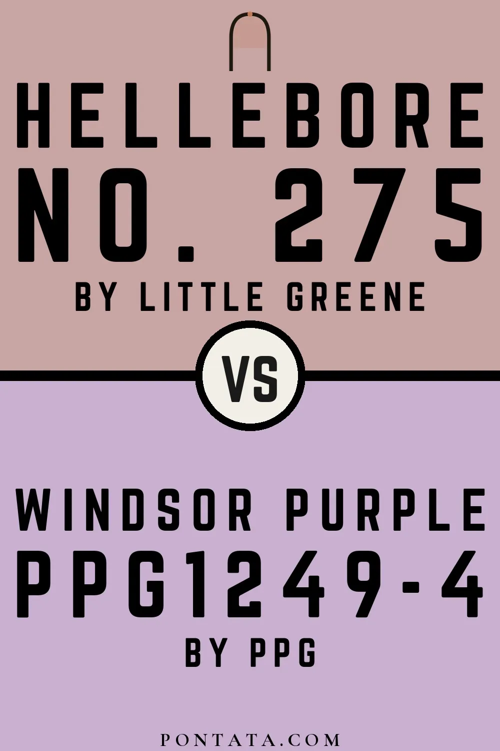 Hellebore vs Windsor Purple