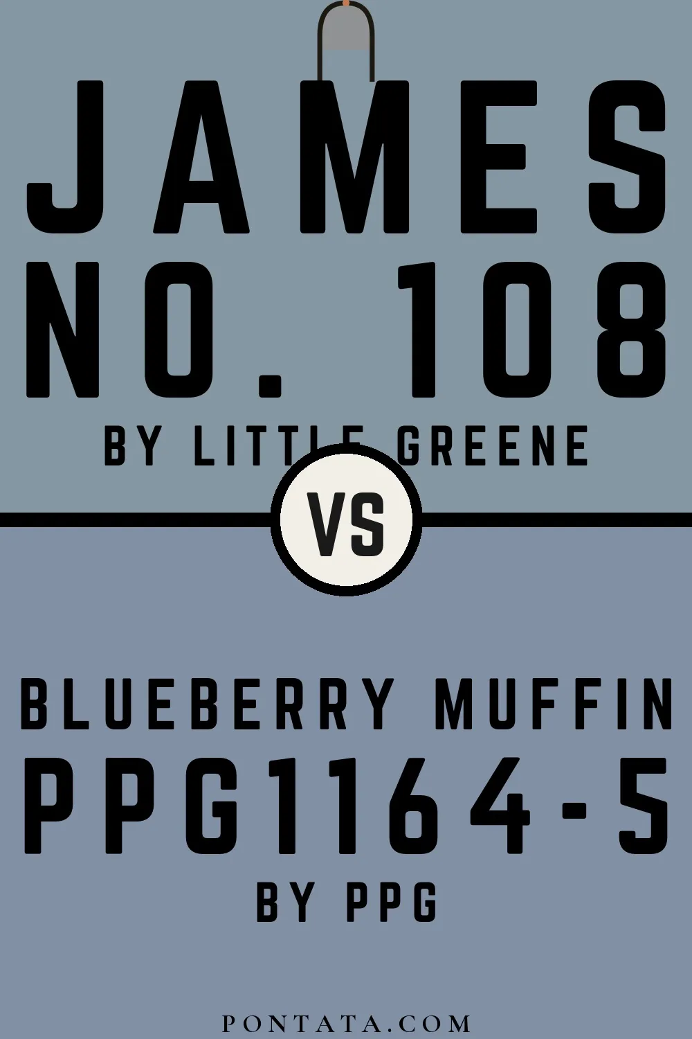 James vs Blueberry Muffin