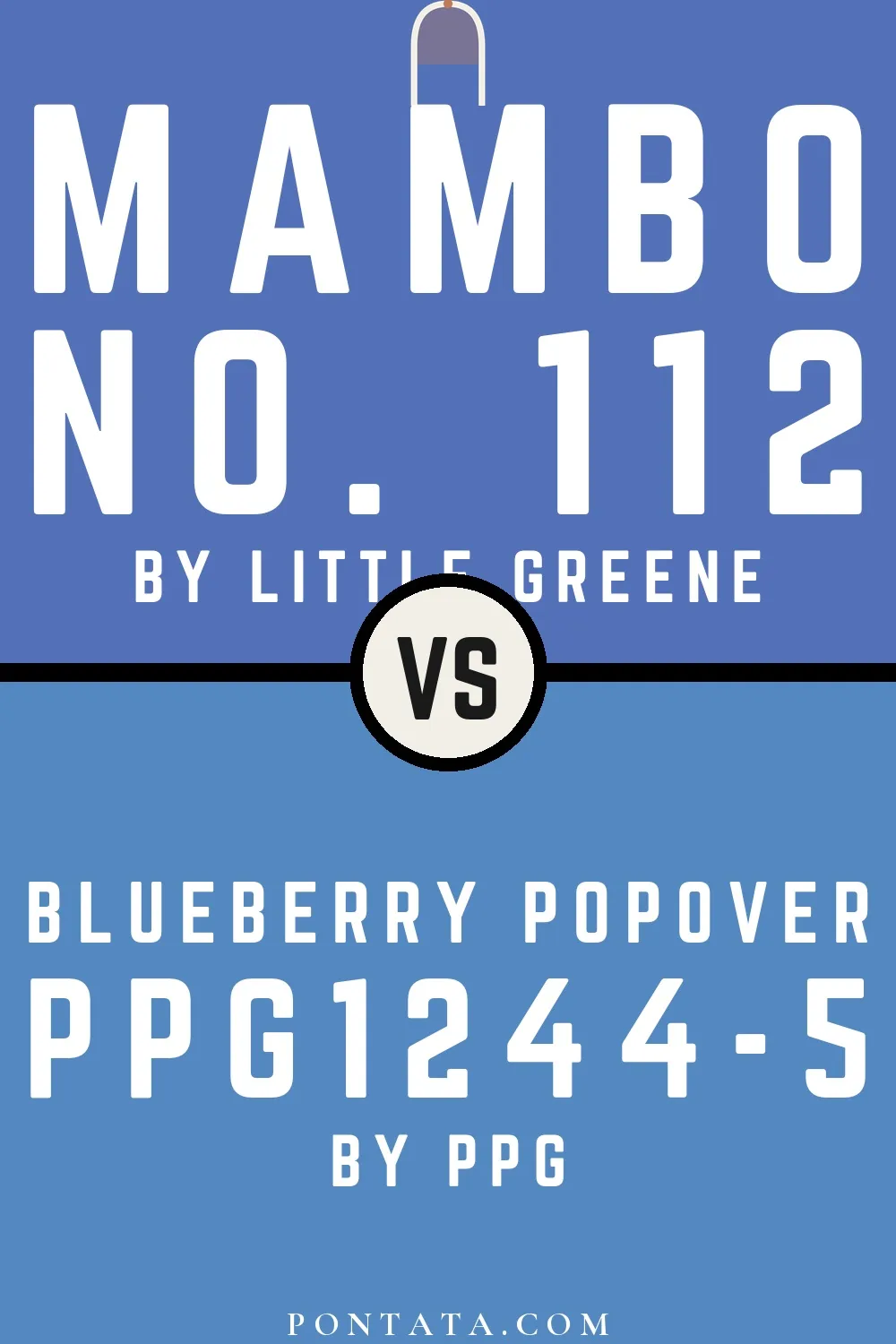 Mambo vs Blueberry Popover