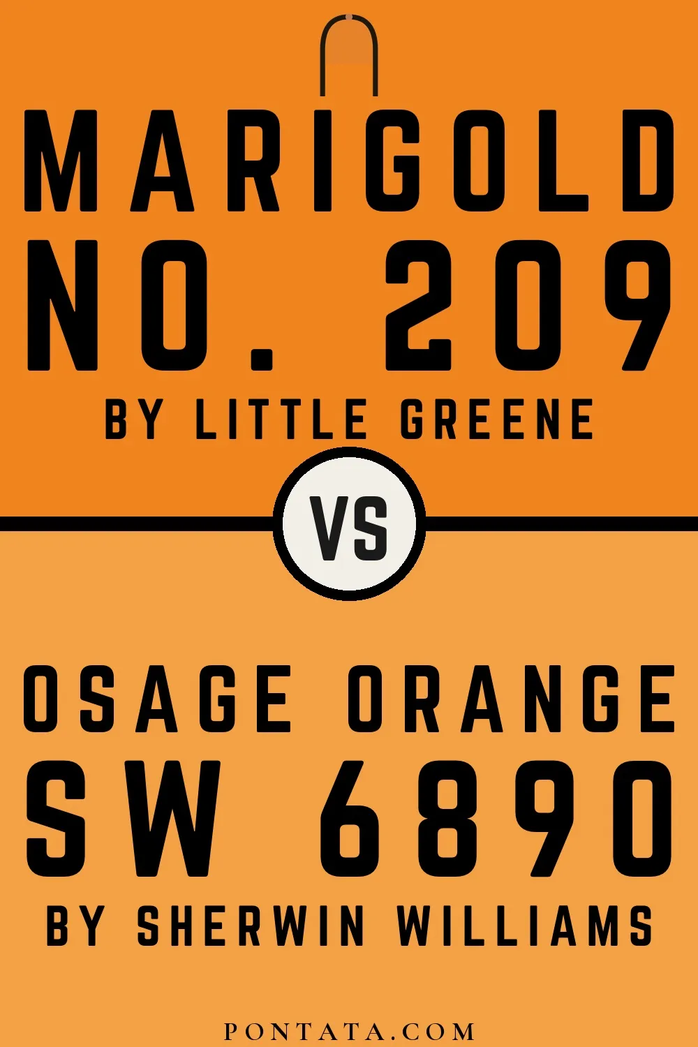 Marigold vs Osage Orange
