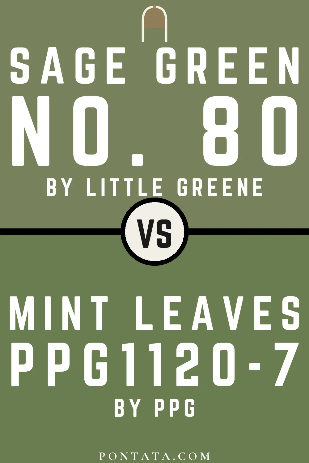 Sage Green vs Mint Leaves