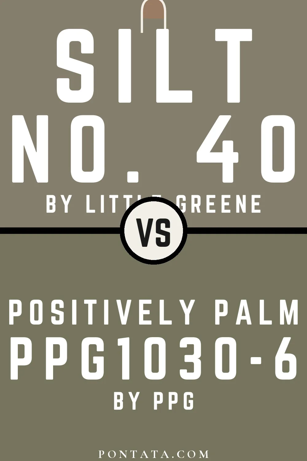 Silt vs Positively Palm