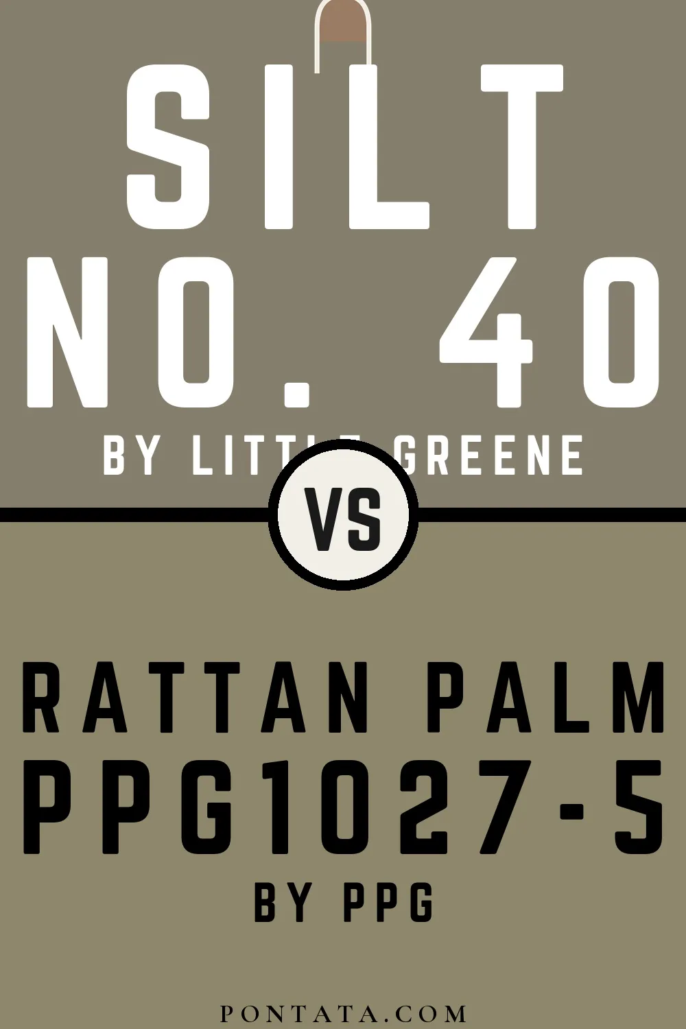 Silt vs Rattan Palm