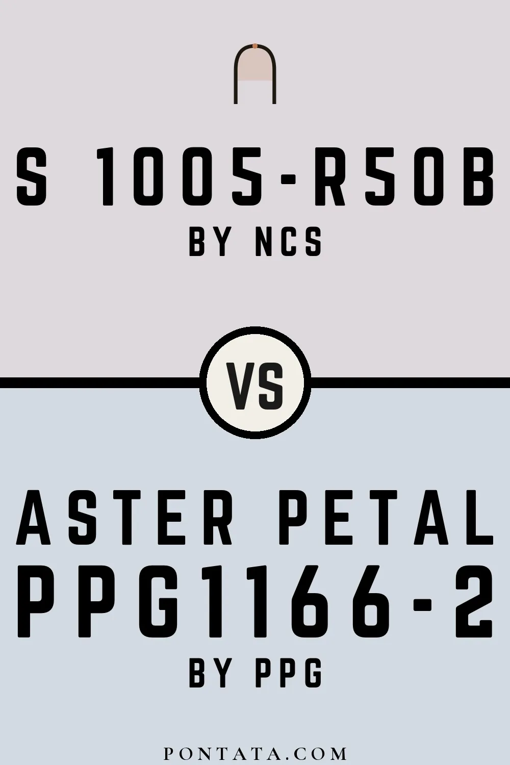 S 1005-R50B vs Aster Petal
