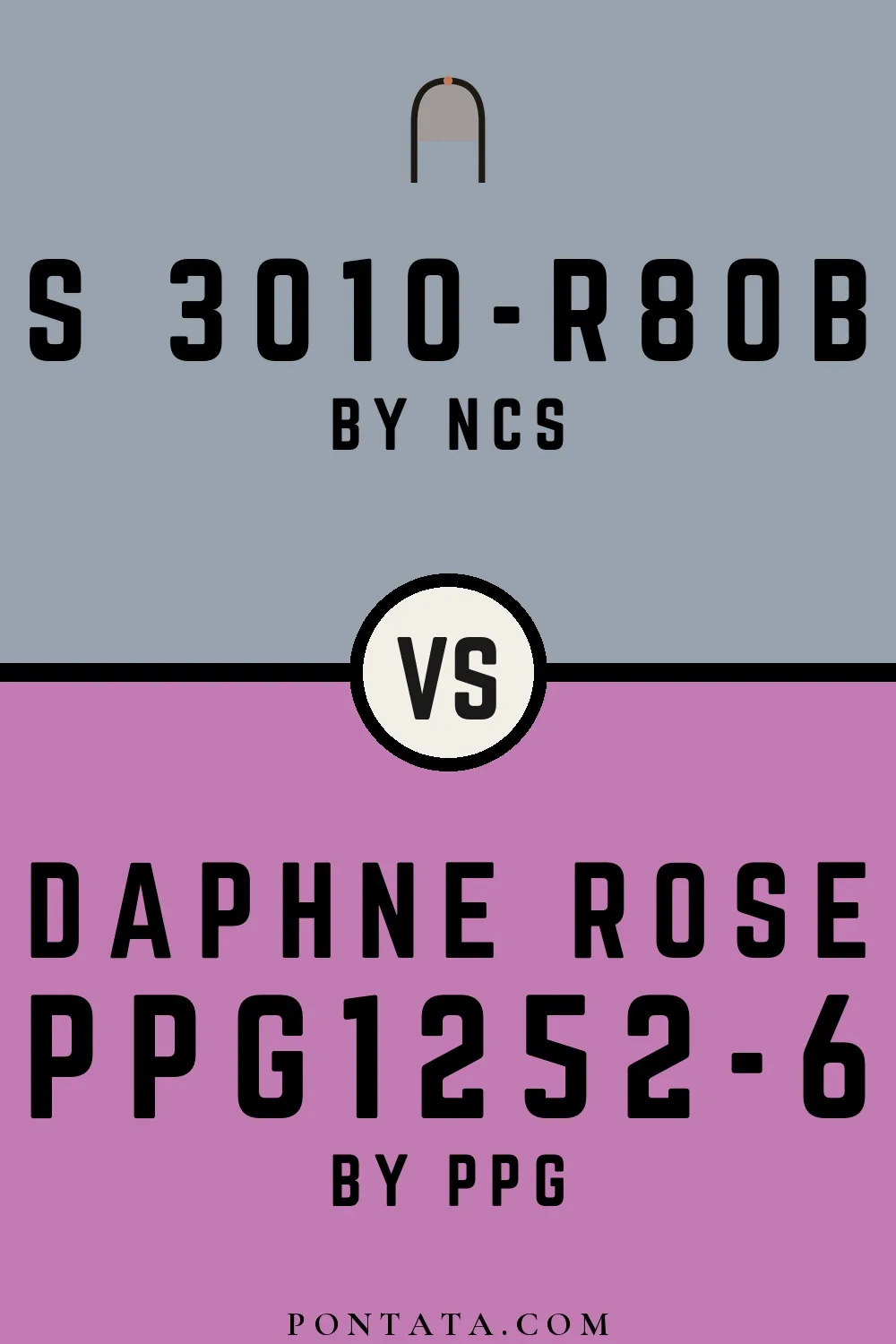 S 3010-R80B vs Daphne Rose