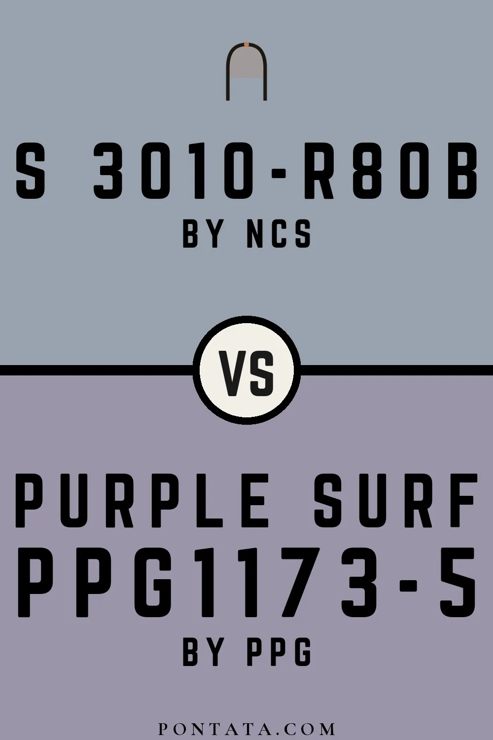 S 3010-R80B vs Purple Surf