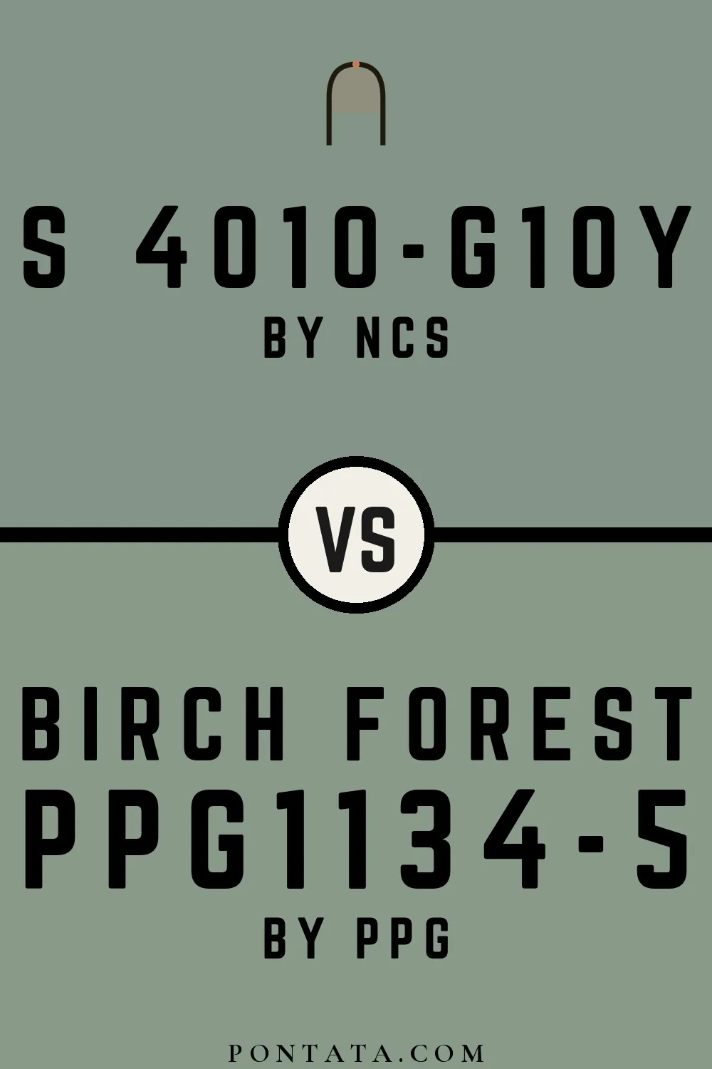 S 4010-G10Y vs Birch Forest