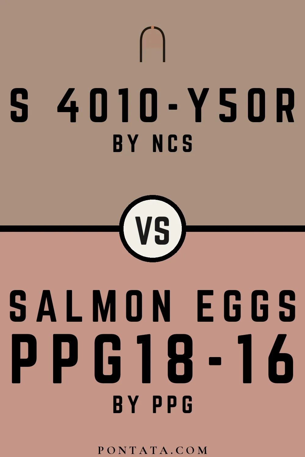 S 4010-Y50R vs Salmon Eggs