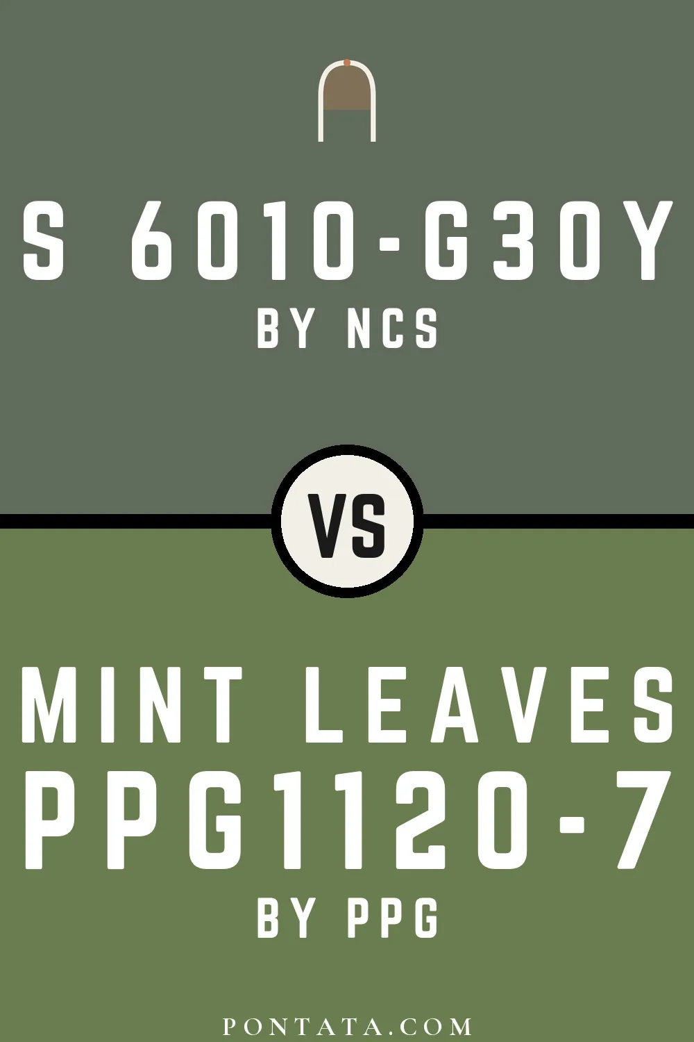 S 6010-G30Y vs Mint Leaves