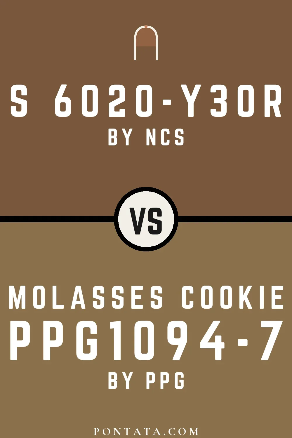 S 6020-Y30R vs Molasses Cookie