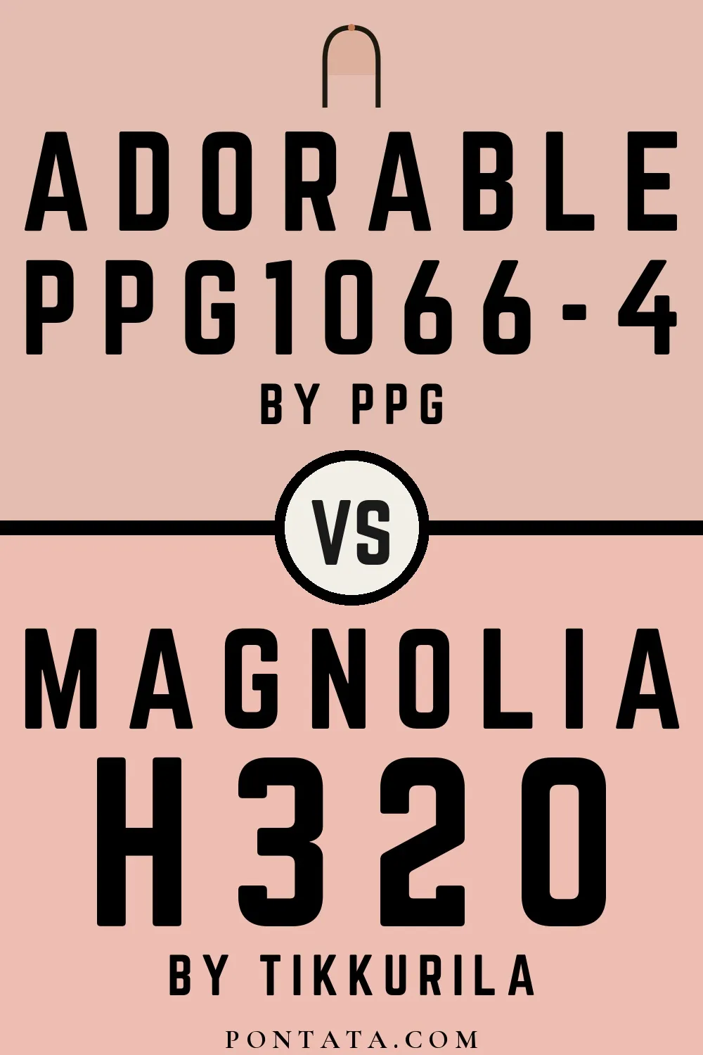 Adorable vs Magnolia