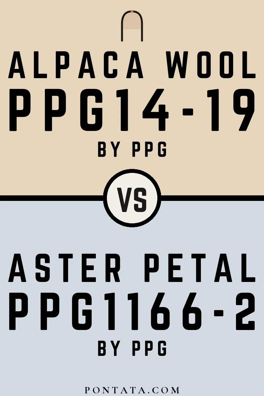 Alpaca Wool vs Aster Petal