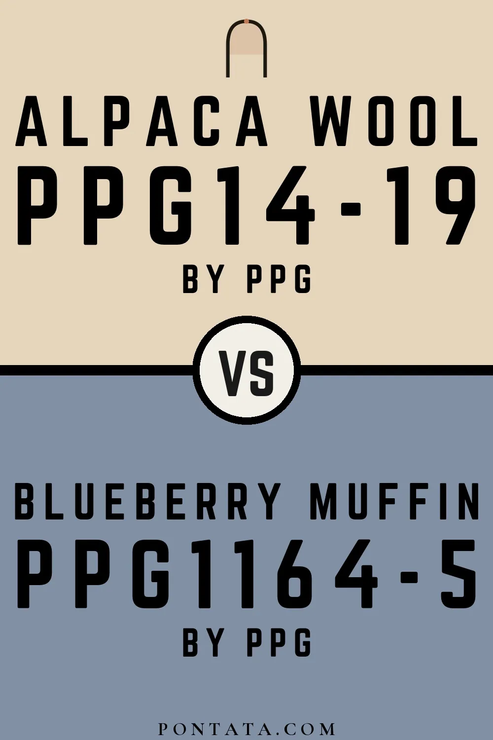 Alpaca Wool vs Blueberry Muffin
