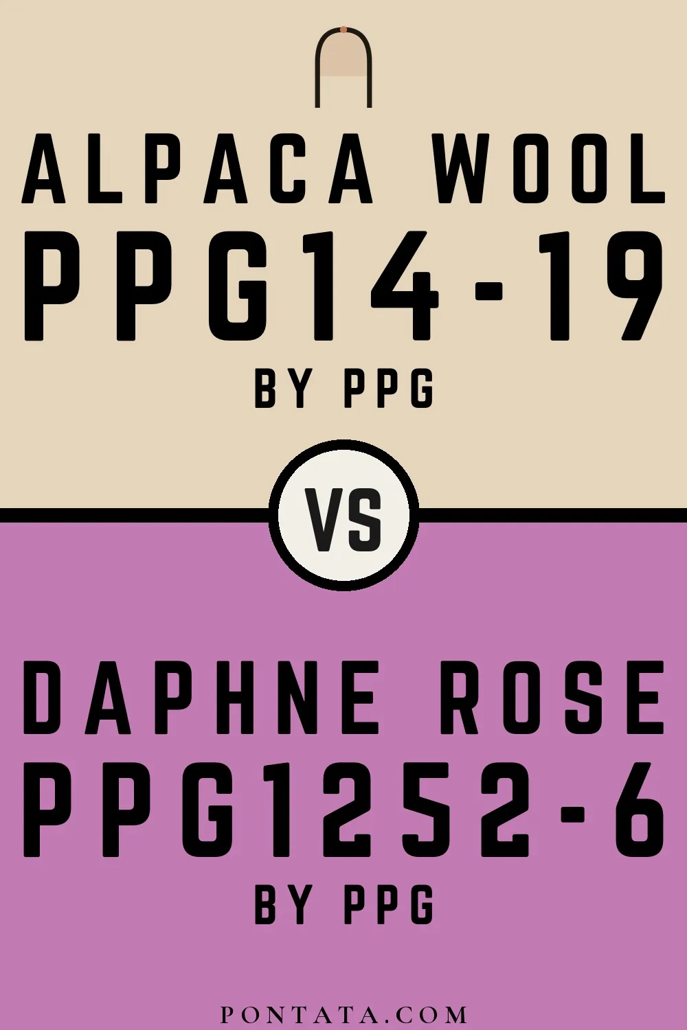 Alpaca Wool vs Daphne Rose