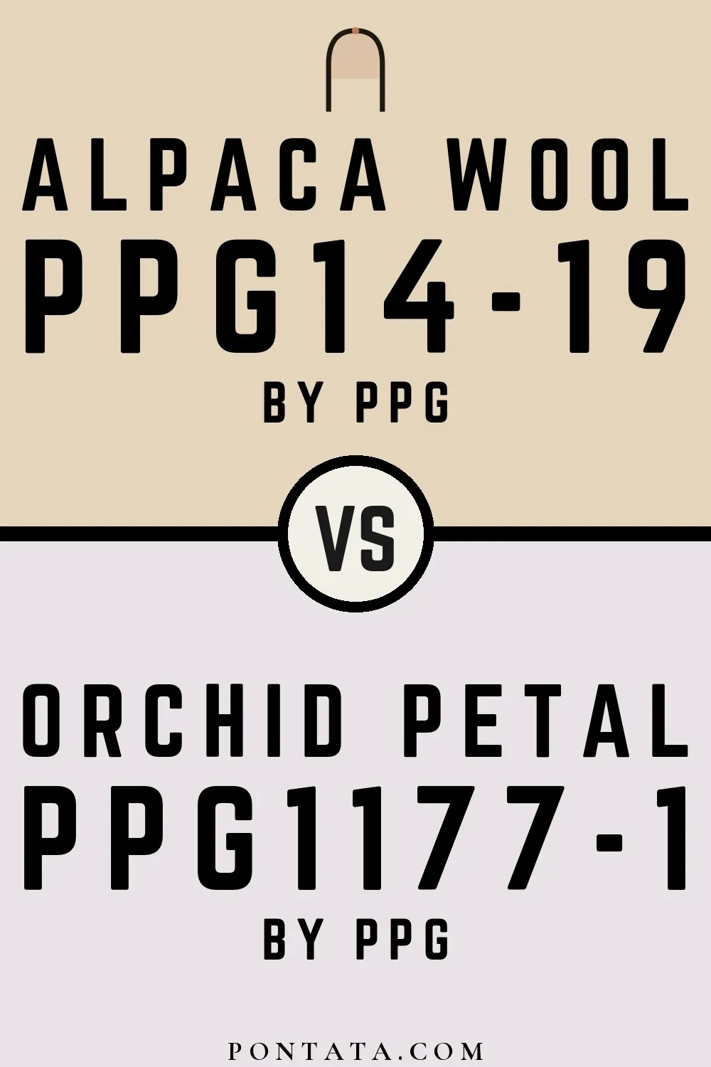 Alpaca Wool vs Orchid Petal