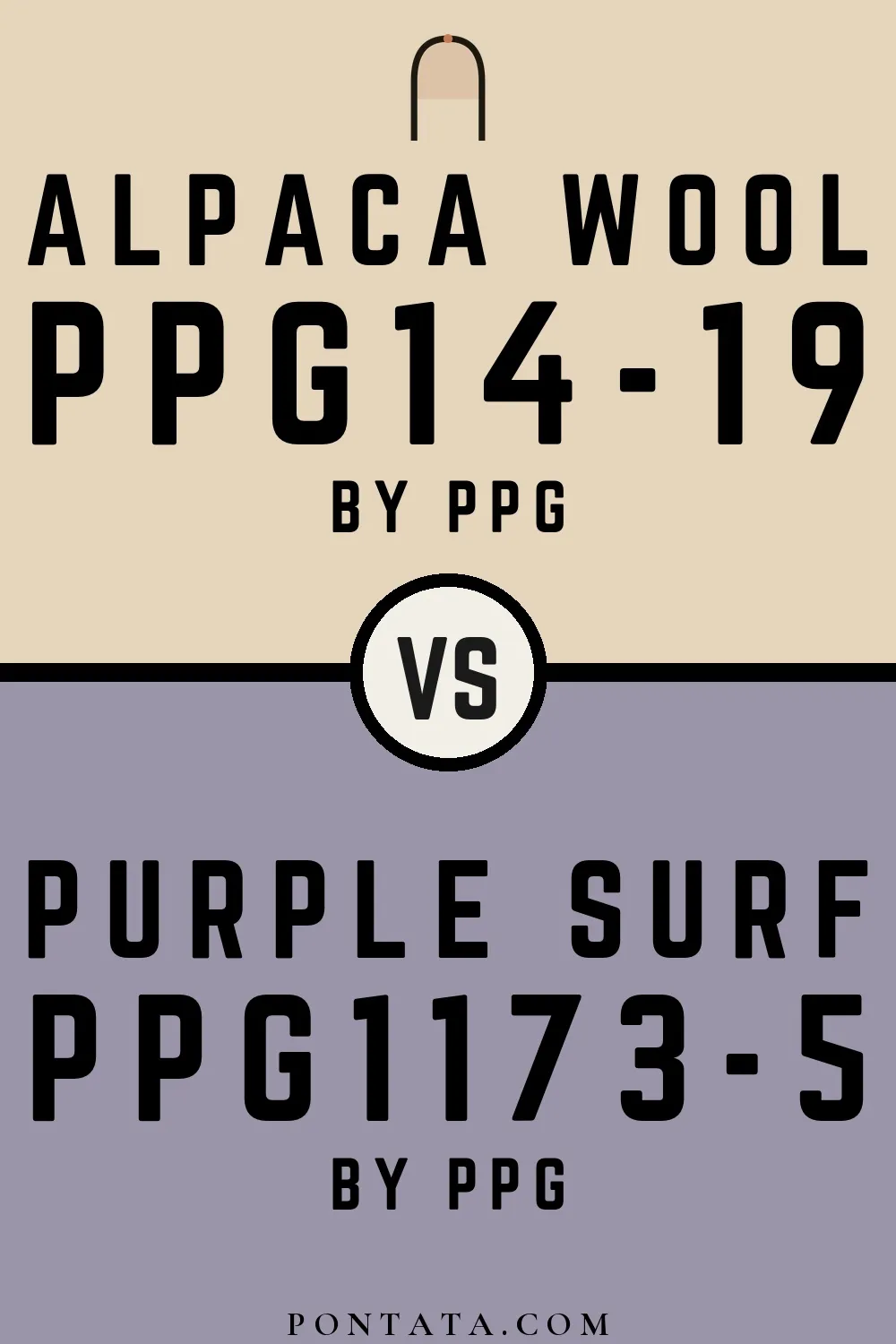 Alpaca Wool vs Purple Surf