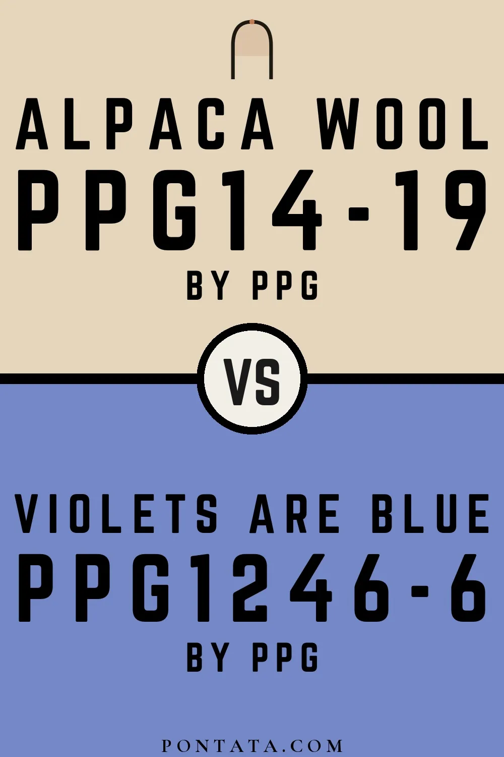 Alpaca Wool vs Violets Are Blue