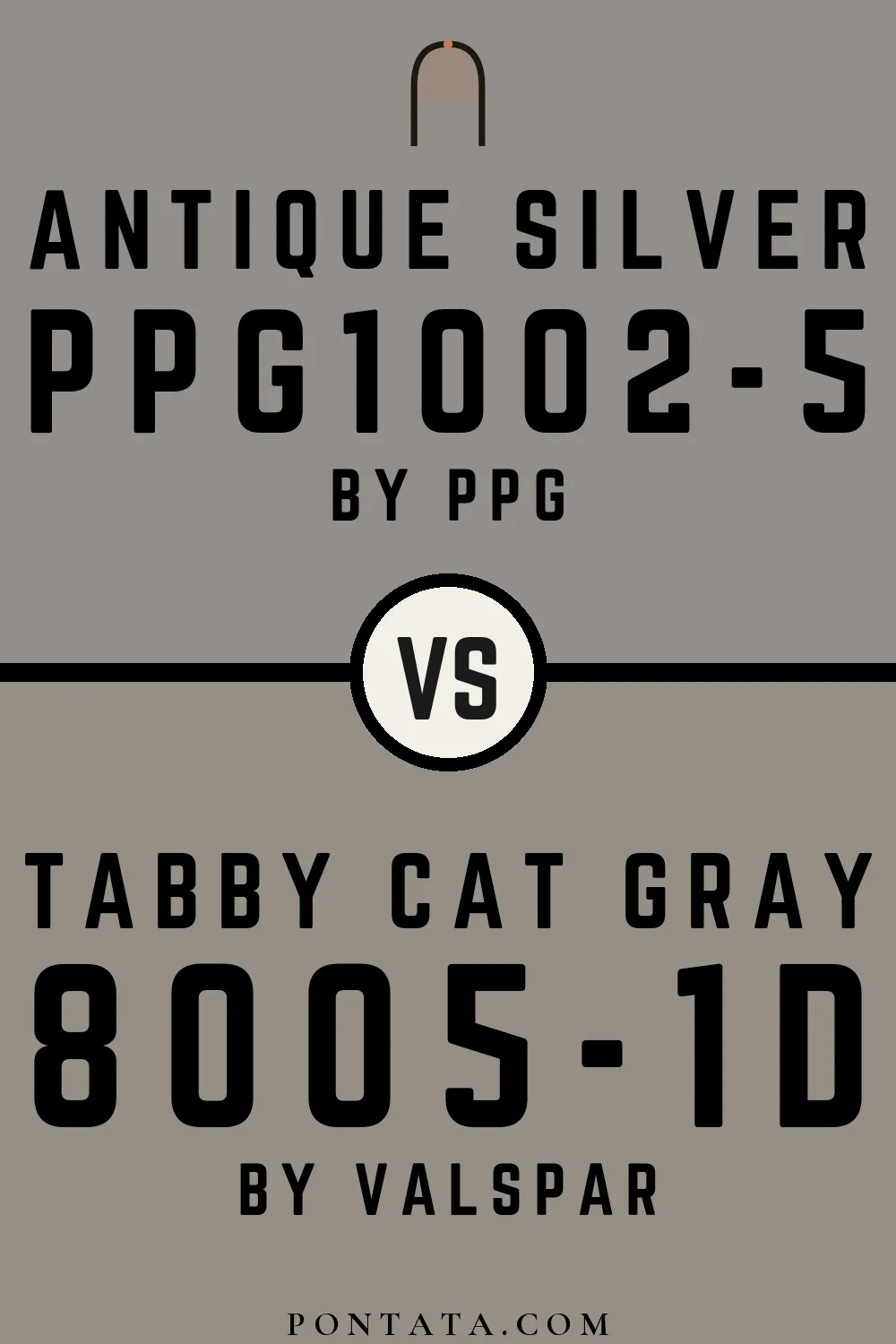Antique Silver vs Tabby Cat Gray