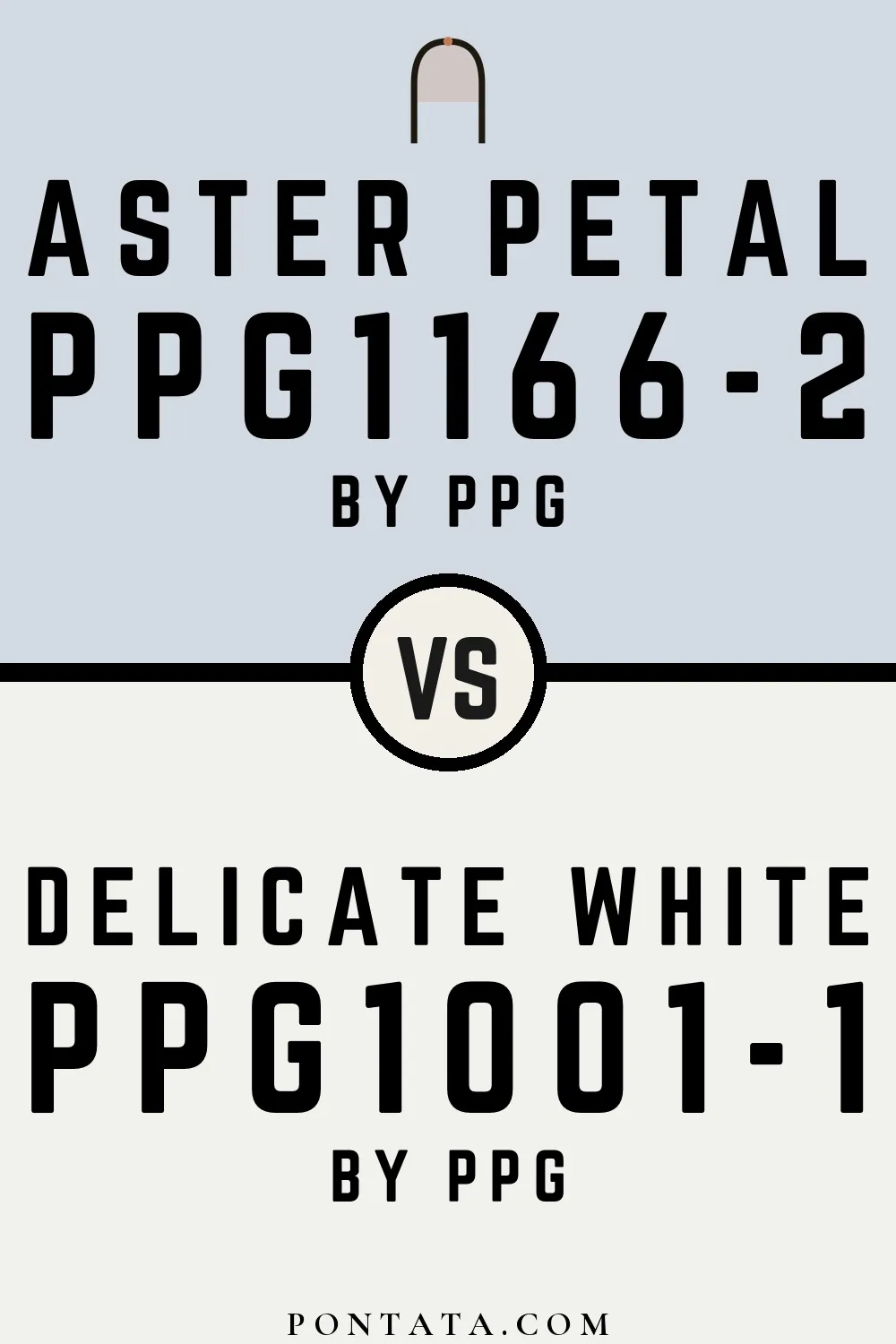 Aster Petal vs Delicate White
