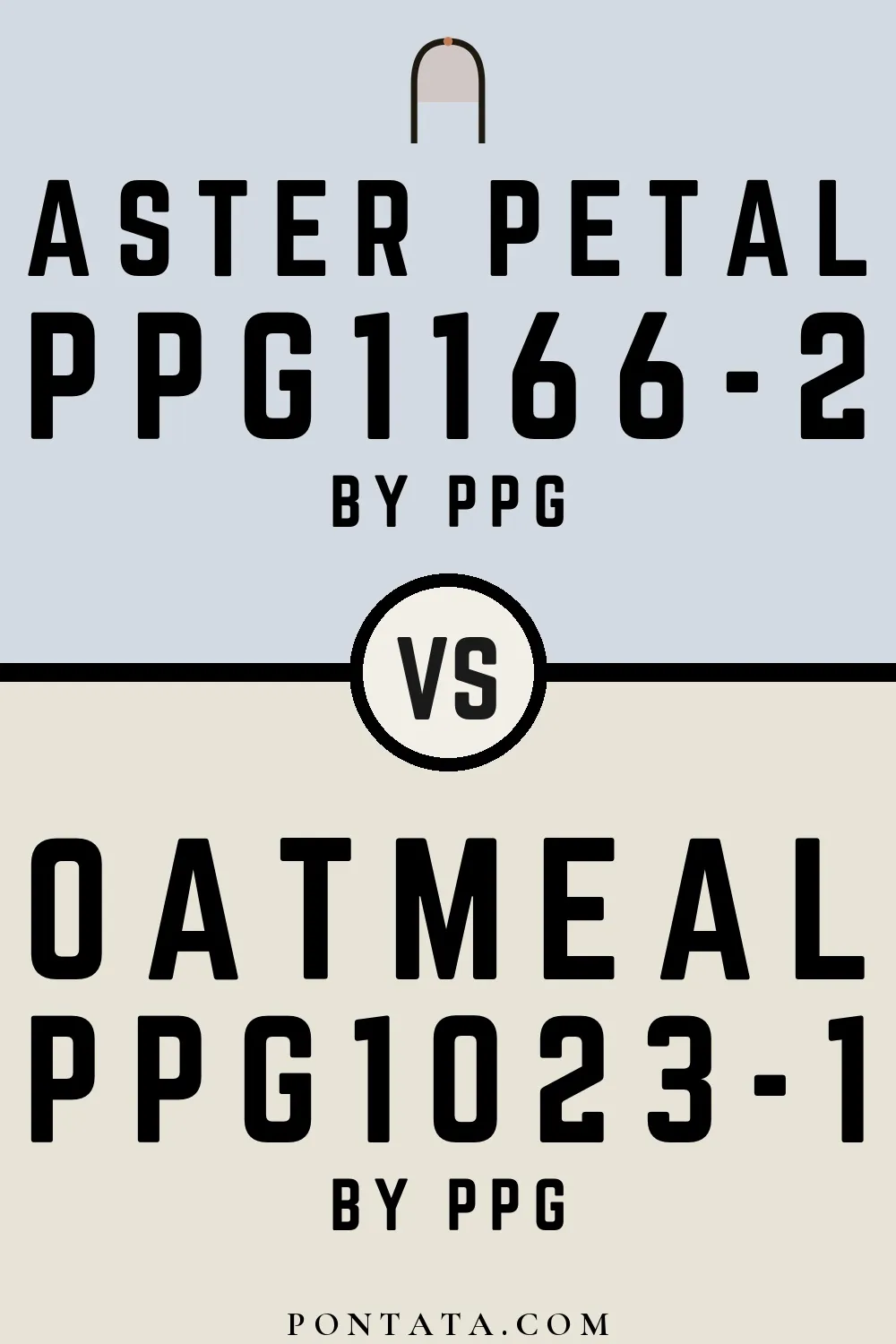 Aster Petal vs Oatmeal