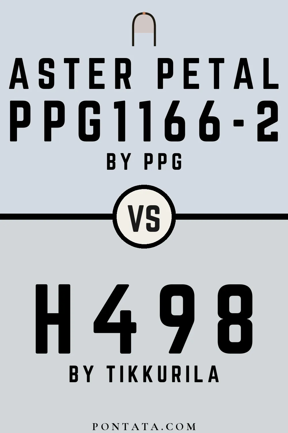 Aster Petal vs H498