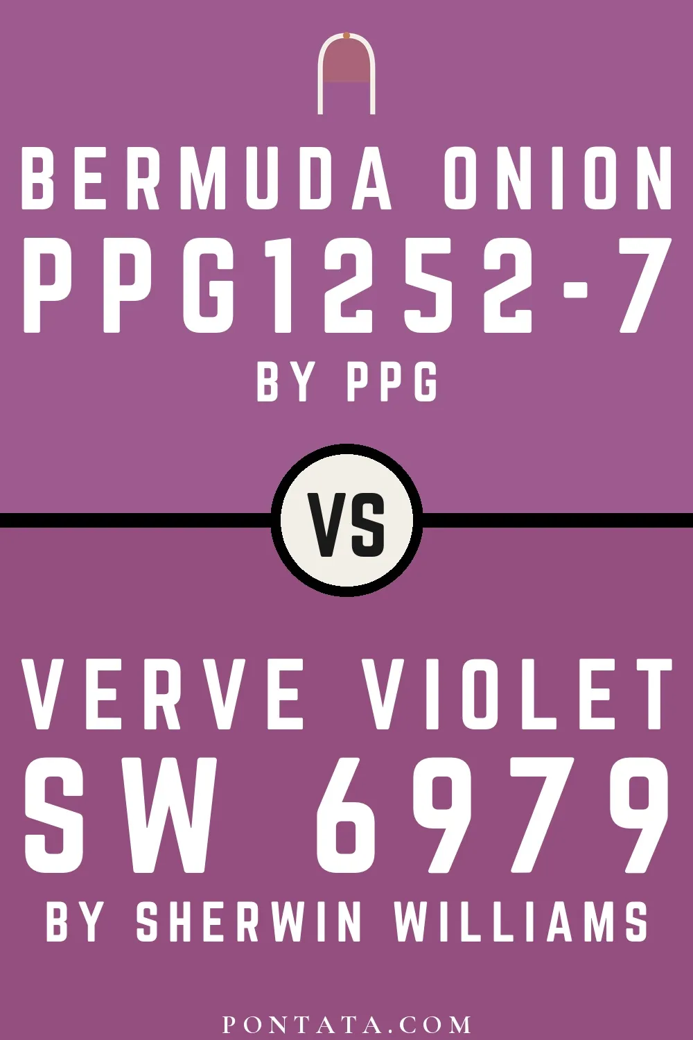 Bermuda Onion vs Verve Violet