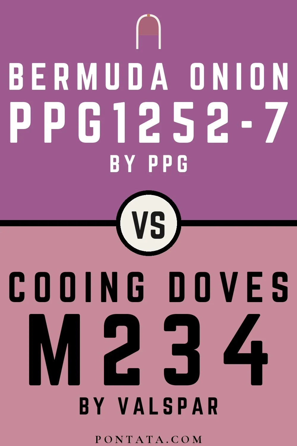 Bermuda Onion vs Cooing Doves
