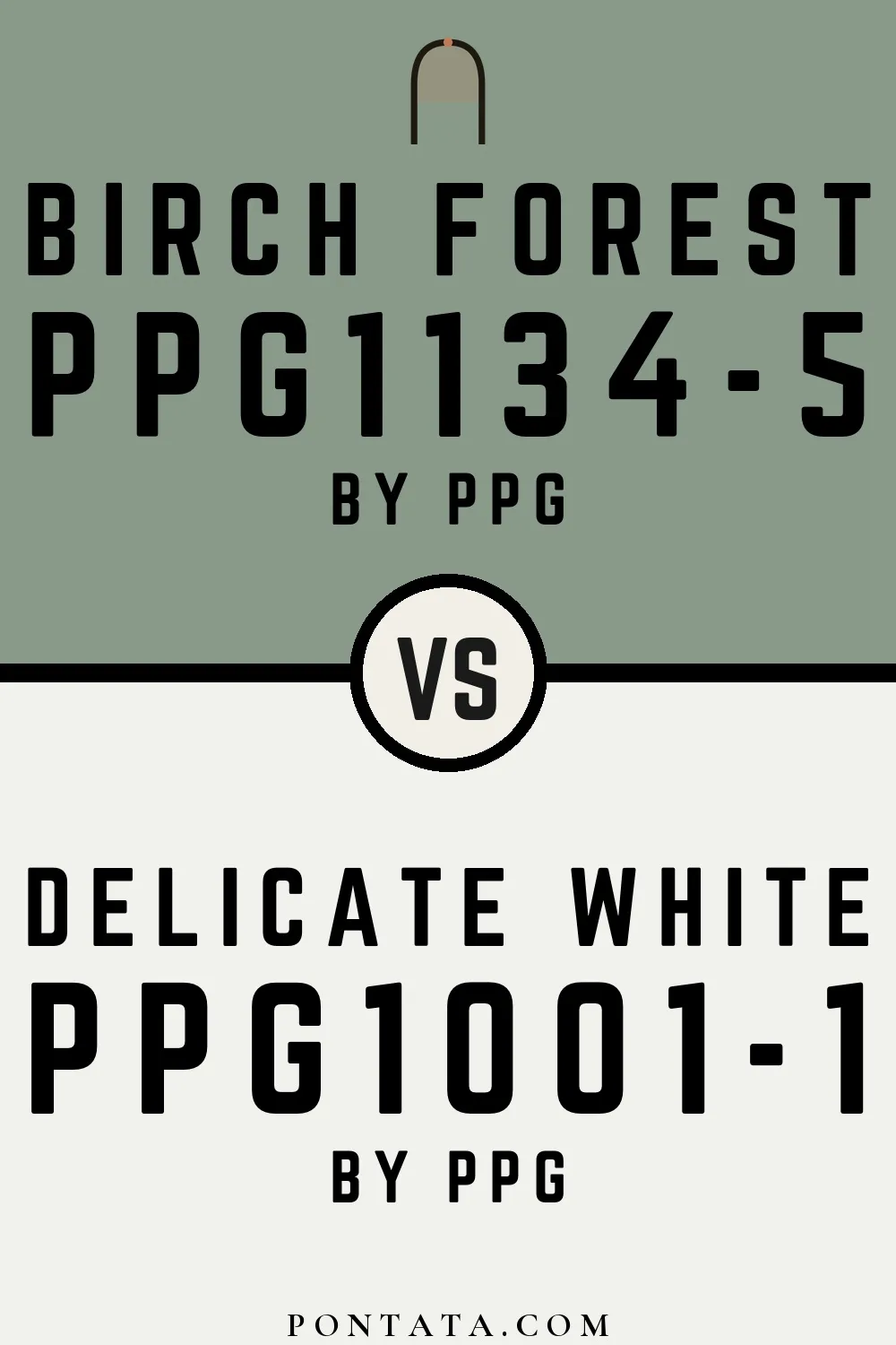 Birch Forest vs Delicate White