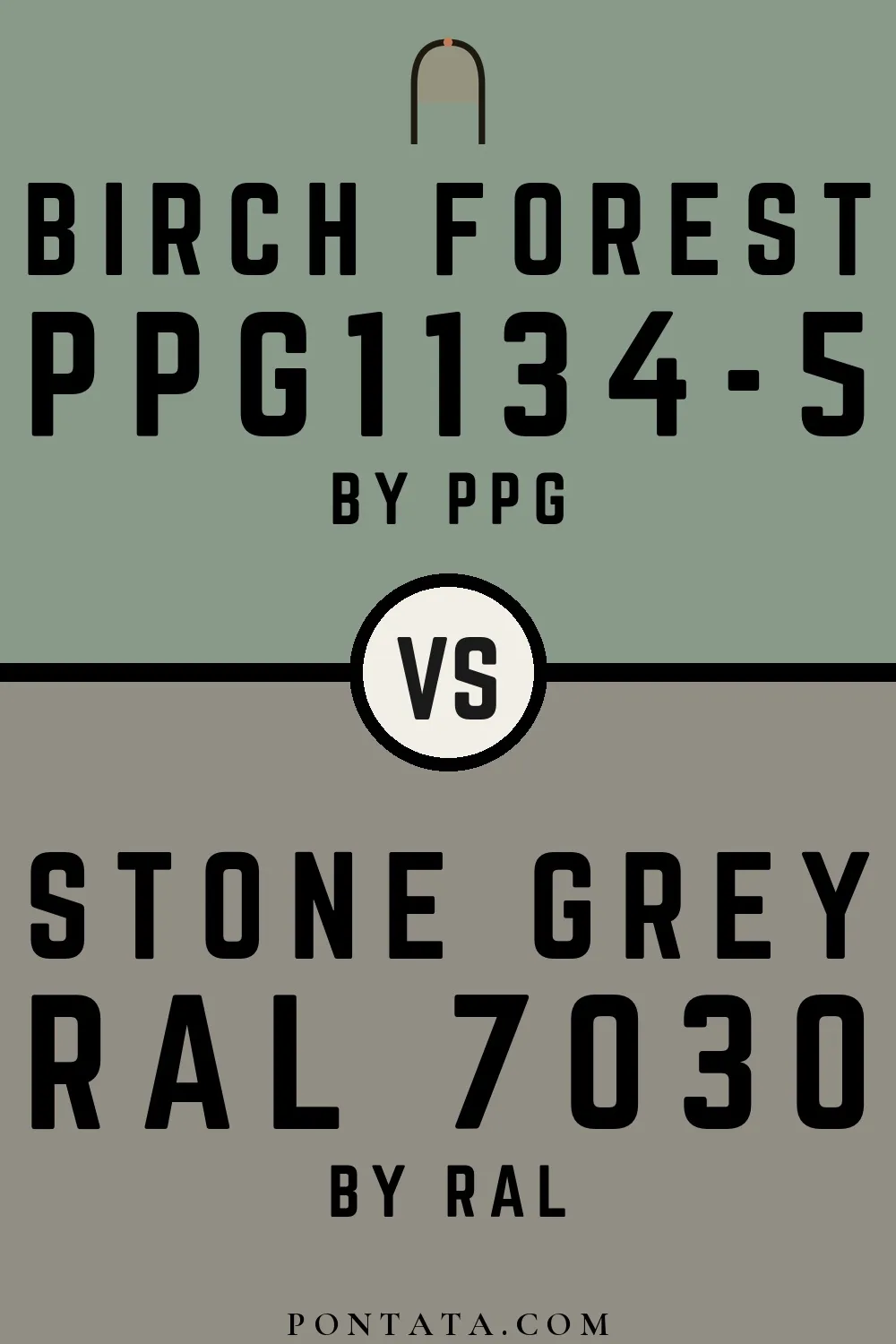 Birch Forest vs Stone grey