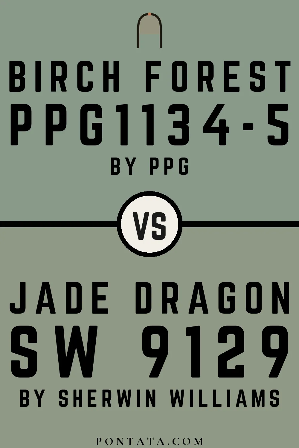 Birch Forest vs Jade Dragon