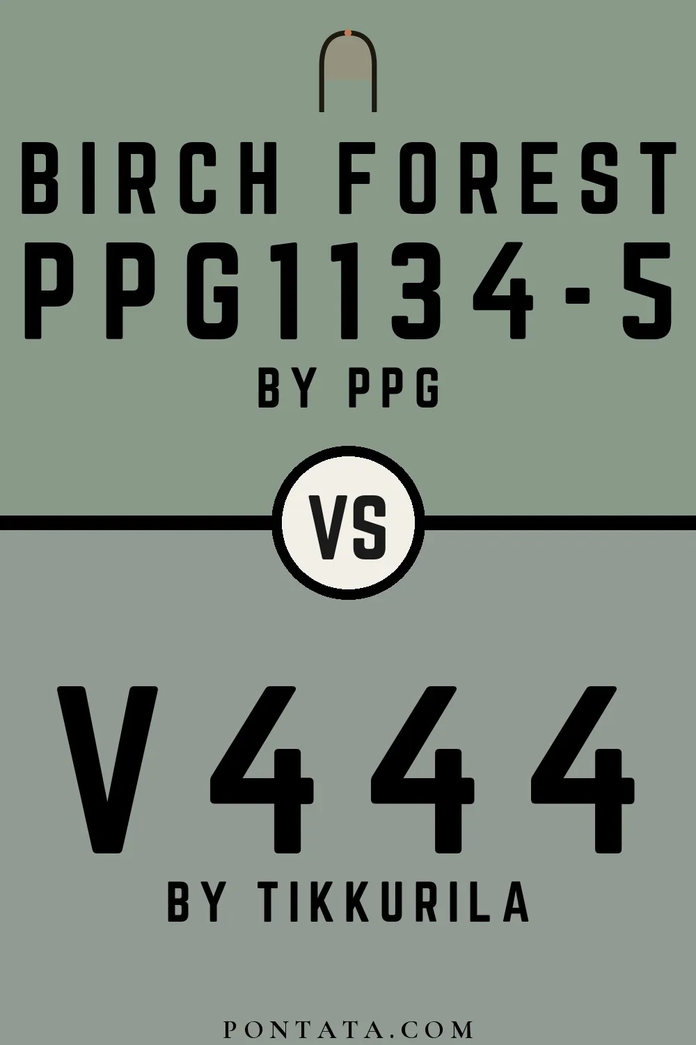 Birch Forest vs V444