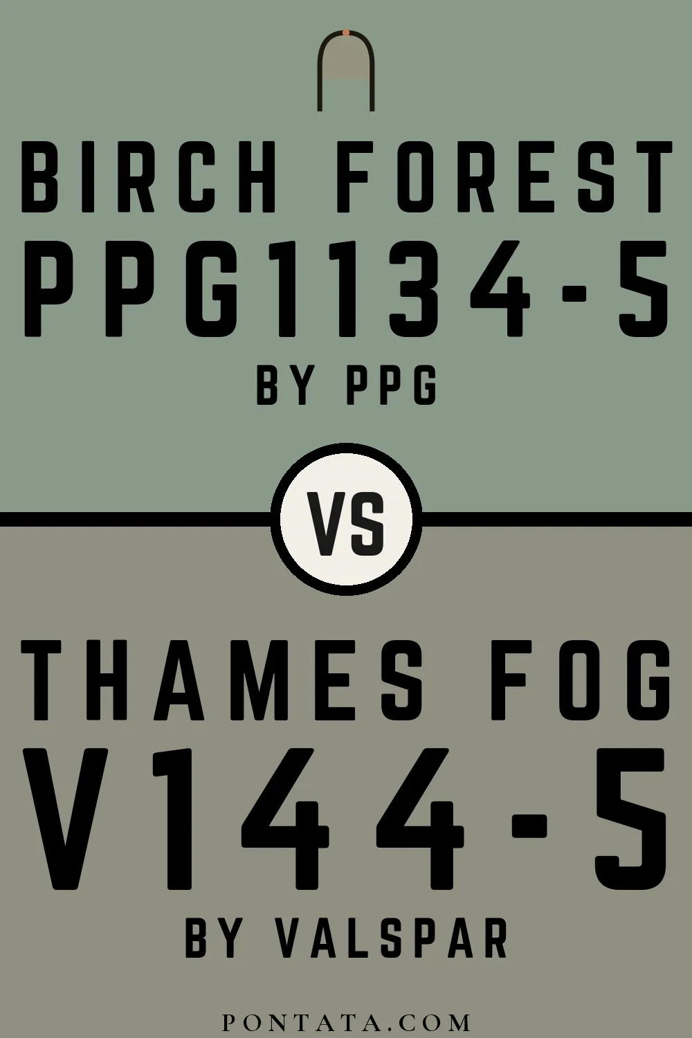 Birch Forest vs Thames Fog