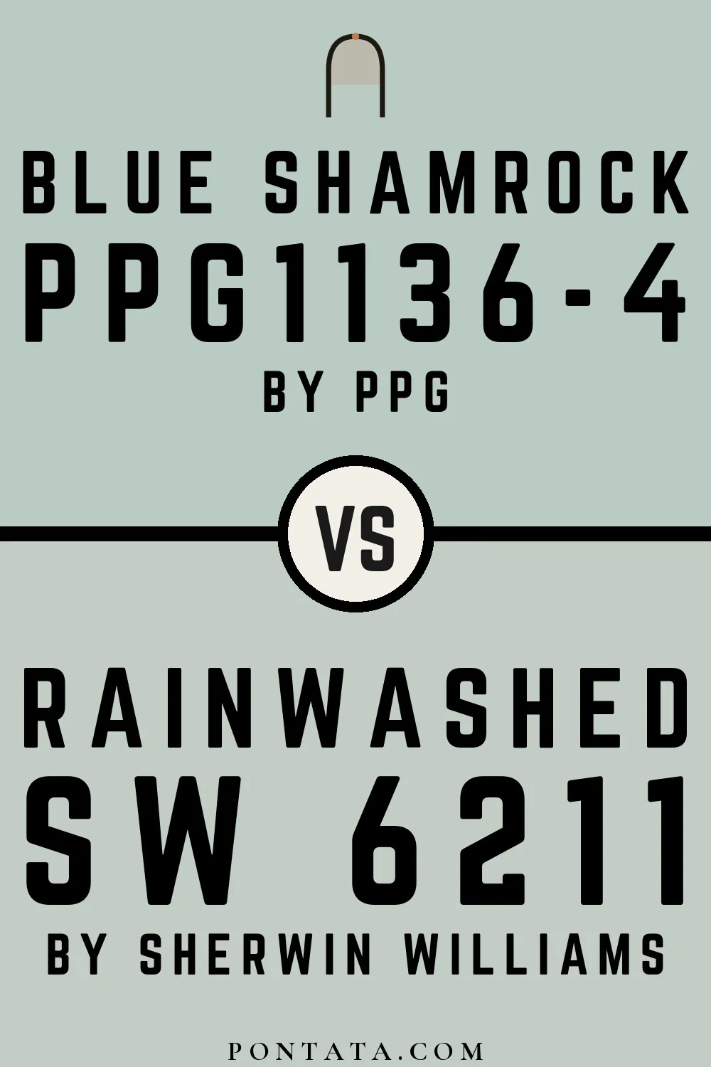Blue Shamrock vs Rainwashed