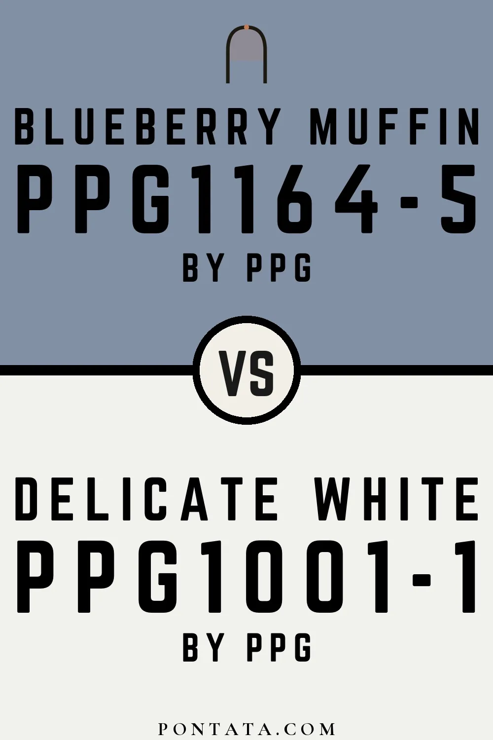 Blueberry Muffin vs Delicate White