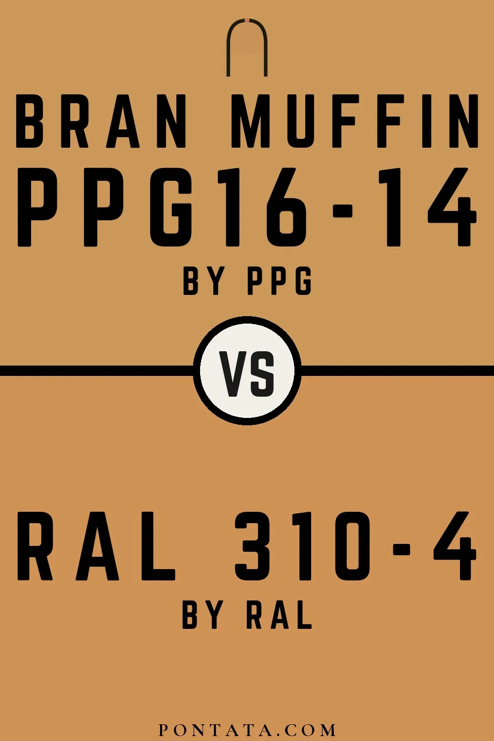 Bran Muffin vs RAL 310-4