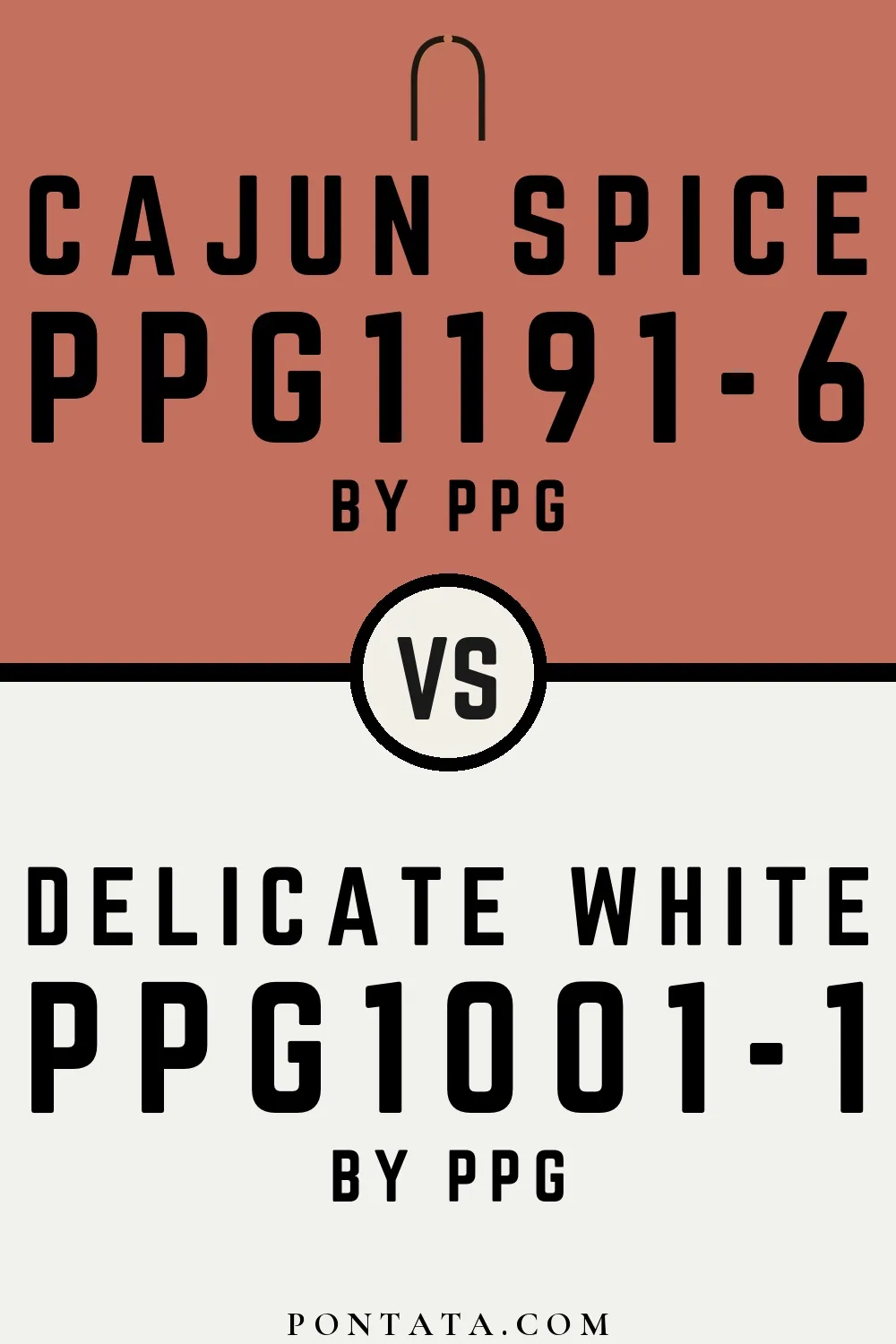 Cajun Spice vs Delicate White