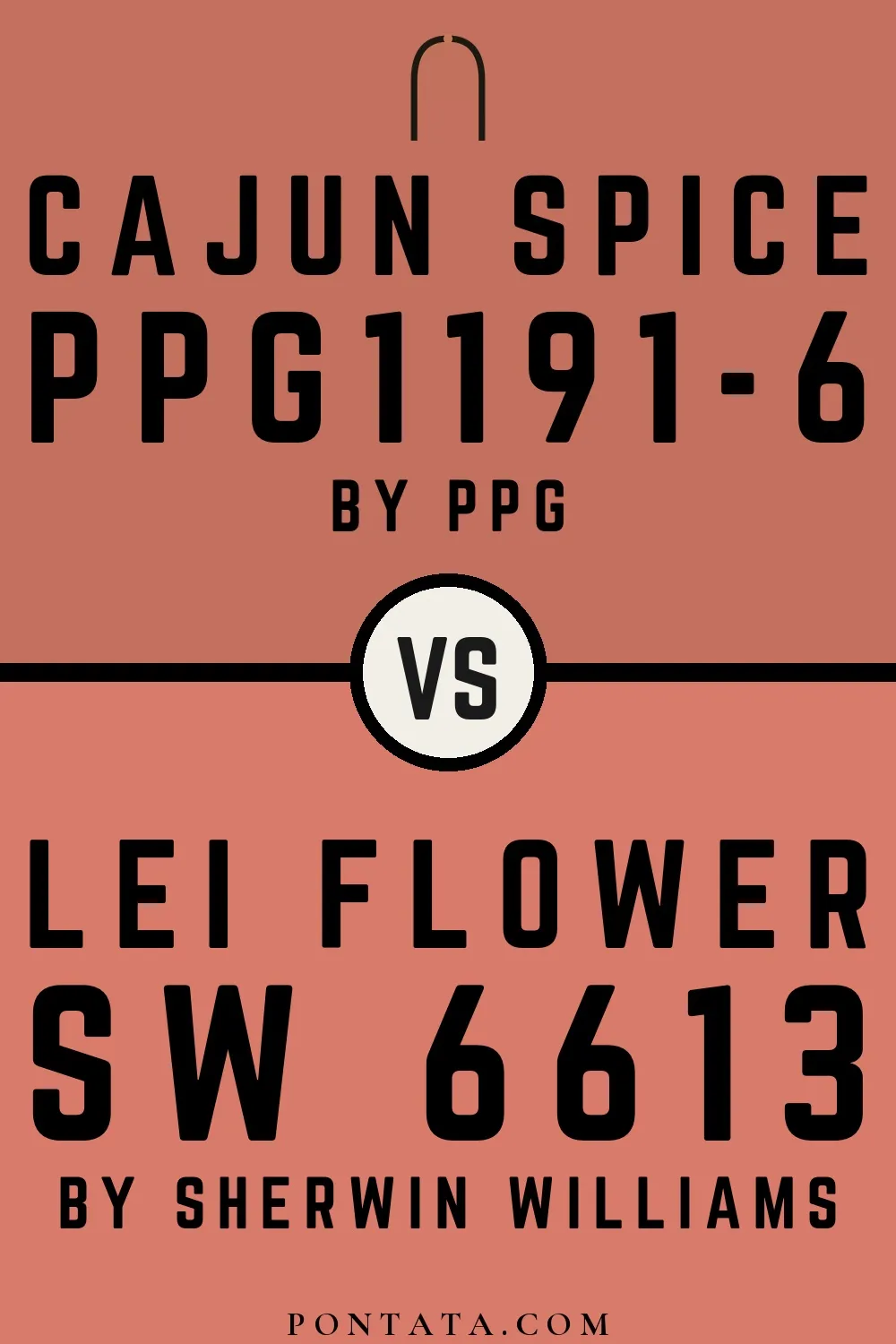Cajun Spice vs Lei Flower