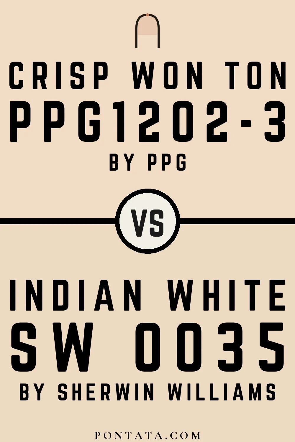 Crisp Won Ton vs Indian White