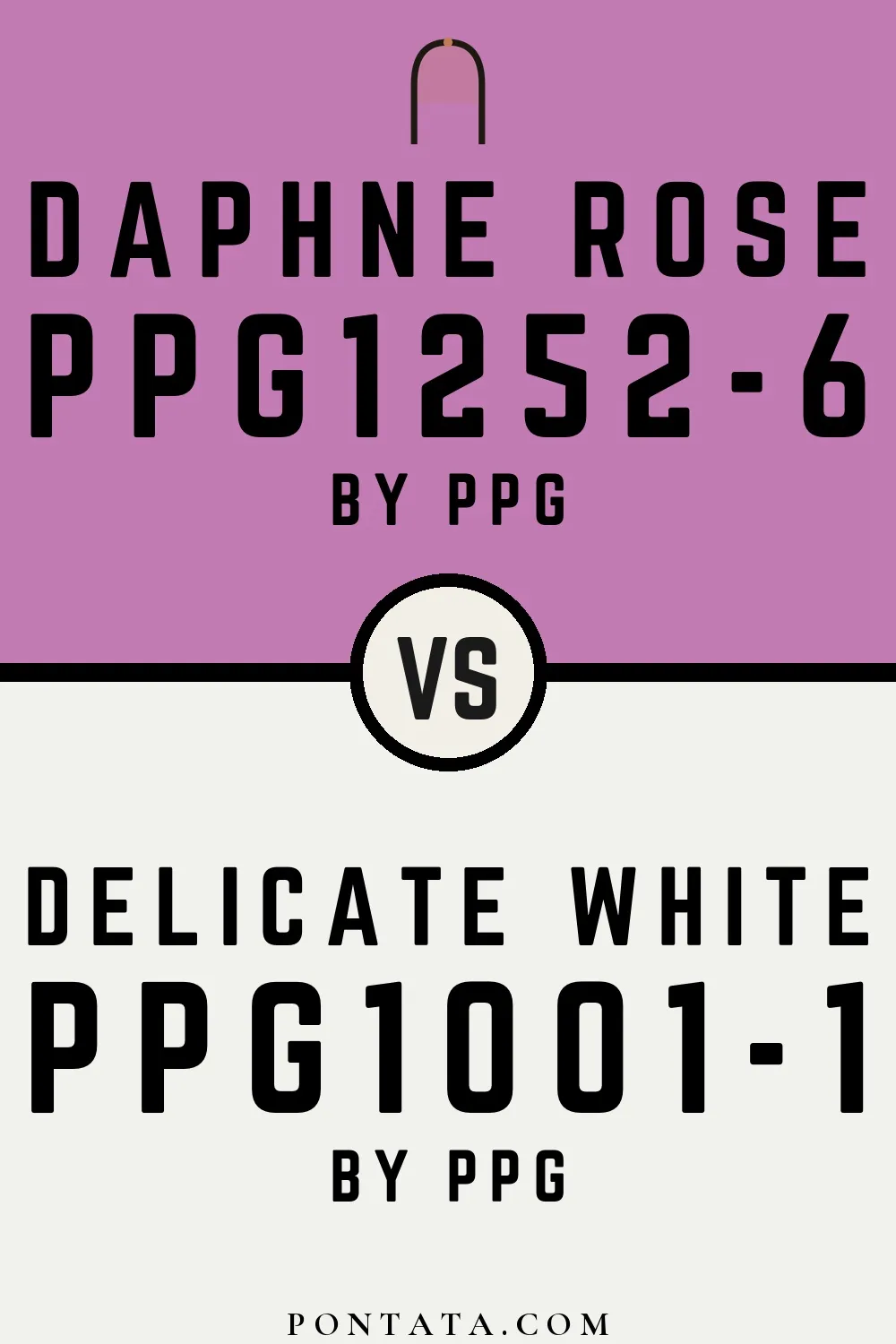 Daphne Rose vs Delicate White